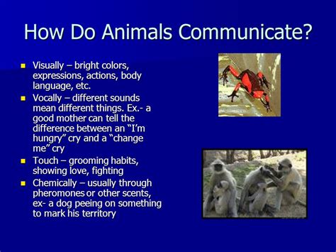 10.1.14: Non-Human Language - Animal Communication