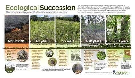 10.5: Ecological Succession - Biology LibreTexts - raincitystudios.com