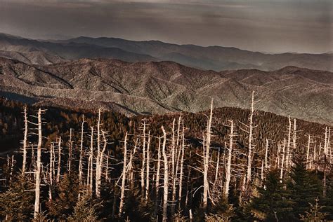 10.6: Acid Rain - Biology LibreTexts - wintechmobiles.com