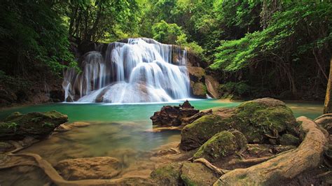 100,000+ Free Waterfall Forest & Waterfall Images - raincitystudios.com