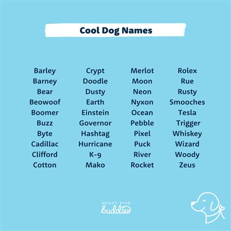 100+ Creative Ideas for Funny and Cute Pet Names