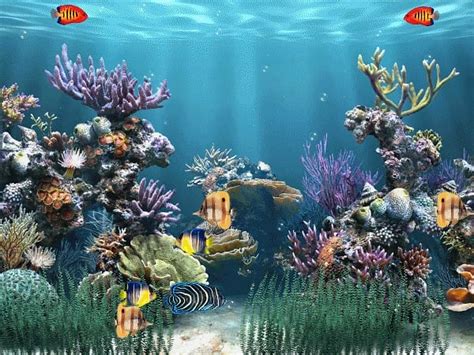 100+ GIF dan Stiker animasi Air & Alam, gratis! - Pixabay - muktibox.com