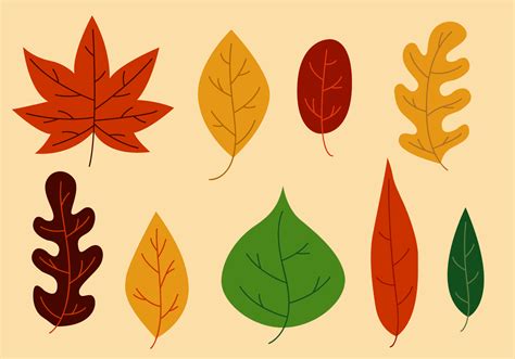 100 000 Leaves Vector Images Depositphotos Pictures Of Different Types Of Leaves - Pictures Of Different Types Of Leaves