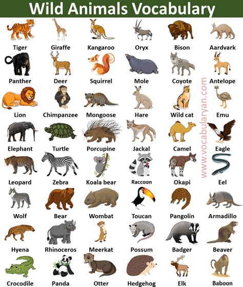 100 Animals - List Challenges