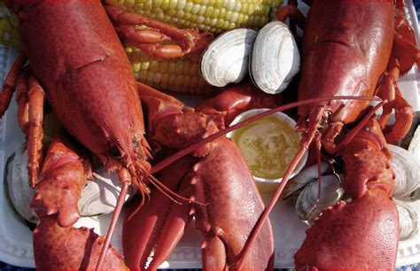 100 Fun Facts About Lobsters - Woodmans of Essex