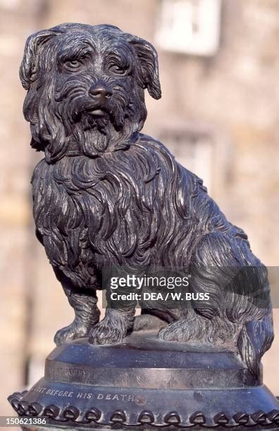 100 Greyfriars Bobby Statue Premium High Res Photos