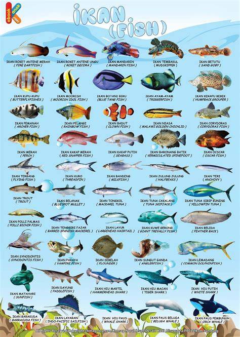 100 Nama Ikan Laut dan Gambarnya | PDF - Scribd - raincitystudios.com