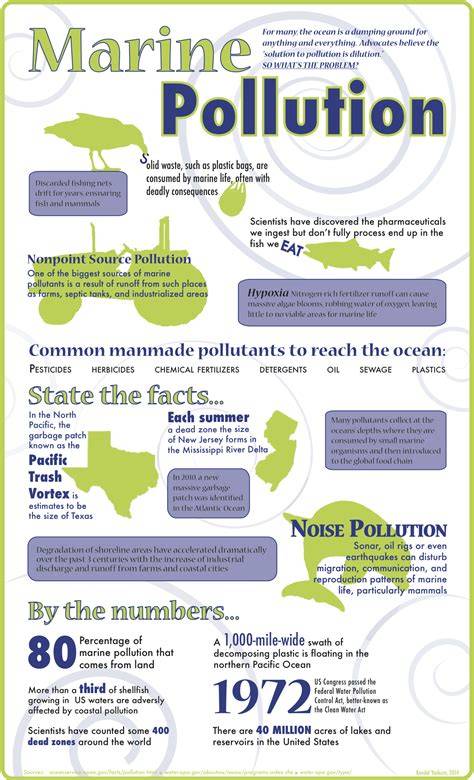 100 ocean pollution facts backed by science - raincitystudios.com
