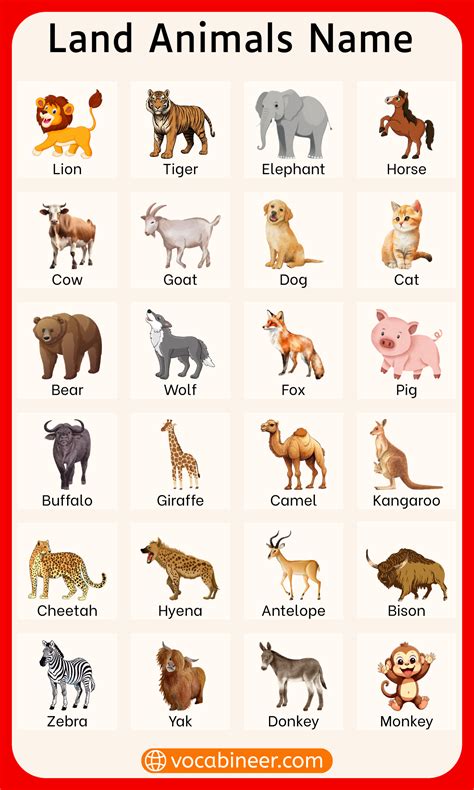 100 Animals Name