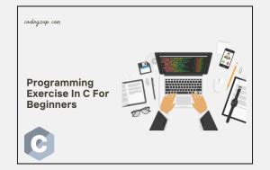 100 C Programming Exercises