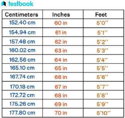100 Cm Feet