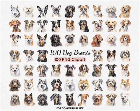 100 dogs