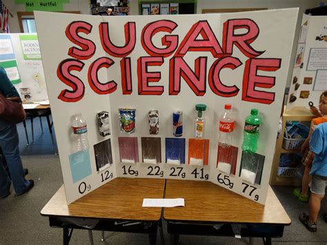 100 Fun Science Experiments Science Fair Projects For 100 Science Experiment - 100 Science Experiment