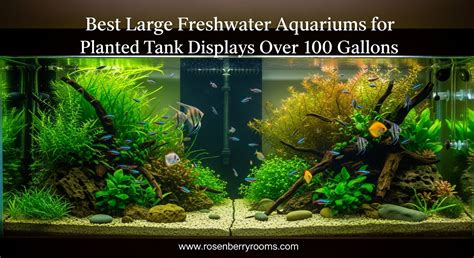 100 Gallons