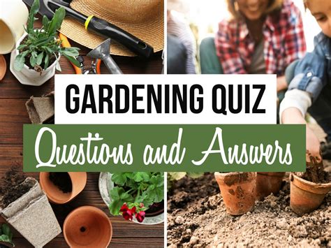 100 Gardening Trivia Questions For Botanical Brainiacs Plant Questions And Answers - Plant Questions And Answers