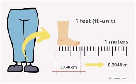 100 M To Feet
