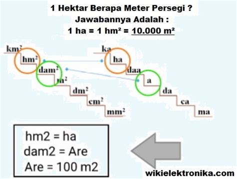100 M2 Berapa Meter