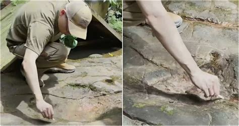 100 million-year-old dinosaur footprints found at restaurant in China