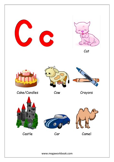 100 Objects That Start With C Inspire The Pictures Starting With Letter C - Pictures Starting With Letter C
