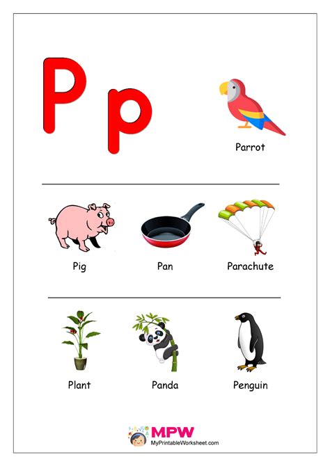 100 Objects That Start With P Alphabet Items Objects That Start With P - Objects That Start With P