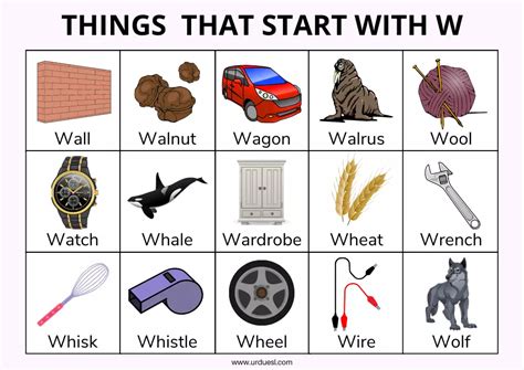 100 Objects That Start With W Alphabet Items Items Beginning With W - Items Beginning With W
