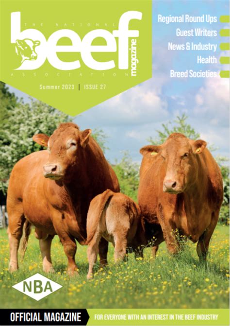 100 percent beef magazine torrent