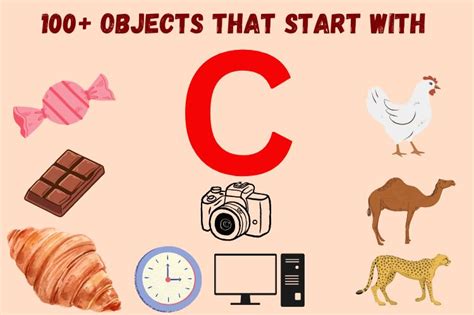 100 Random Objects That Start With B The Objects With Letter B - Objects With Letter B