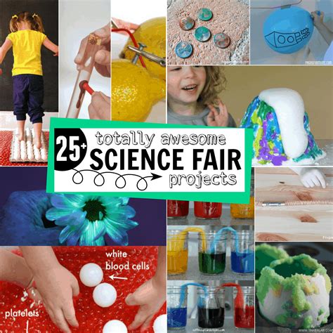100 Science Fair Project Ideas For Grades 2nd 100 Science Experiment - 100 Science Experiment