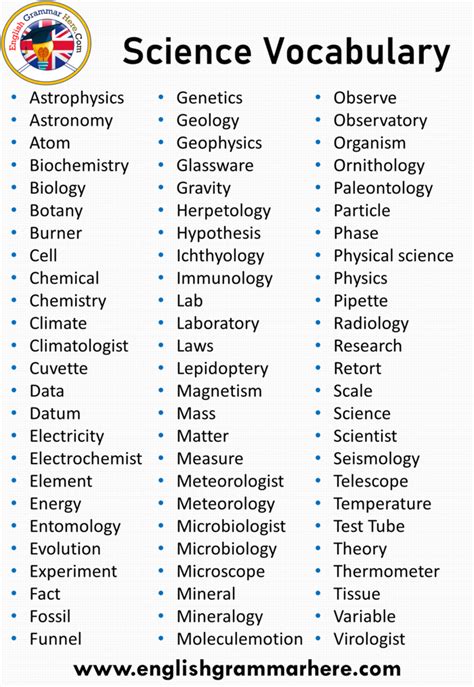 100 Science Vocabulary Words With Meaning A To Science Nouns - Science Nouns