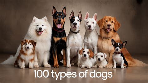 100 Types Of Dogs
