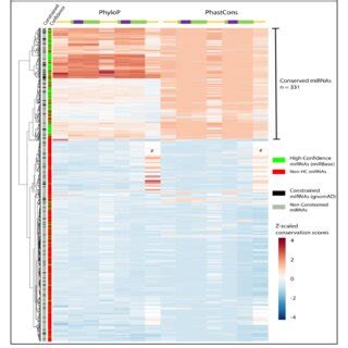 100 vertebrates conservation by PhastCons (phastCons100way)