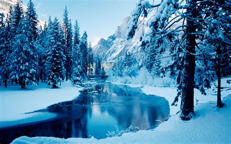 1000+ Best Winter Mac Wallpapers Free HD Download