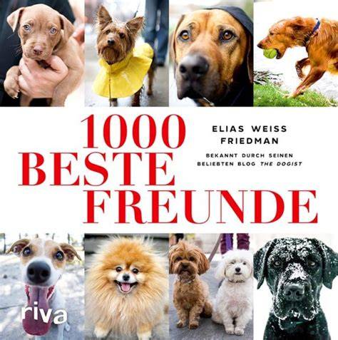 1000 beste freunde