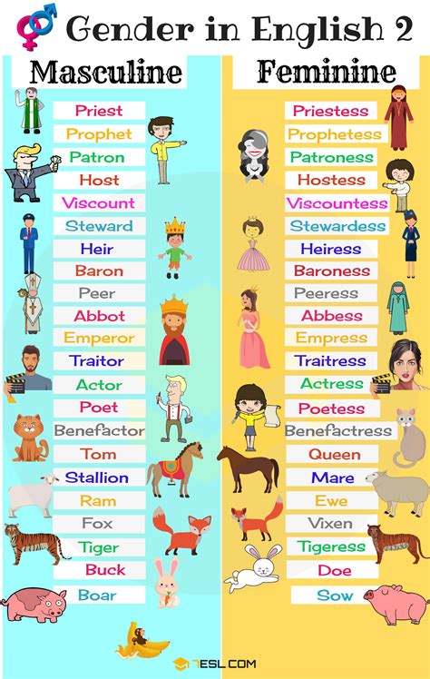 1000 gender list. Un nez -> des nez. Now that we’ve learned how to determine the gender of French nouns and how to make them plural, let’s move on to our 100 French nouns list! 2. About Time. Un an; des ans. “Year”. Une année; des années. 