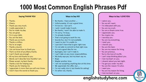 Read 1000 Most Common English Sentences Sdocuments2 Com 