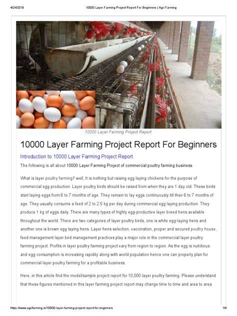 10000 Layer Farming Project Report For Beginners - raincitystudios.com