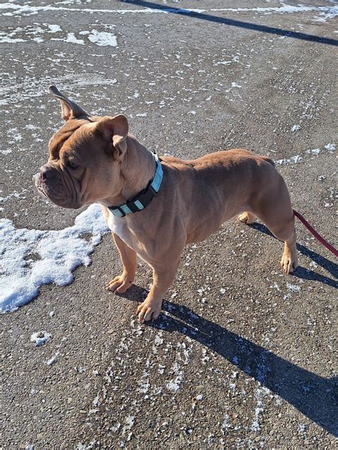 100054 Halı ve Koltuk Yıkama