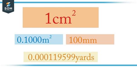 1000cm To Feet