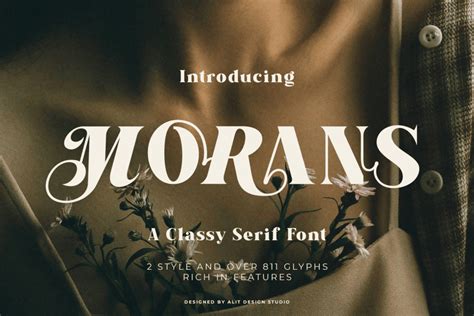 1001 fonts serif.  Most Popular Fonts Fonts 1 - 12 of 57,252 script cur...