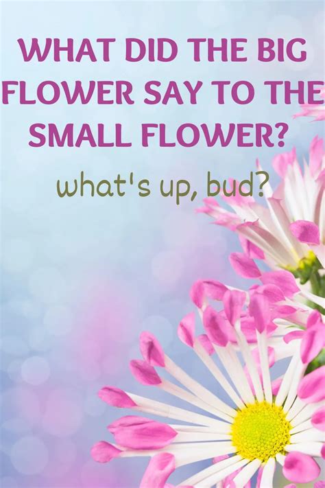 101 Flower Puns And Jokes — Pick A Winner And …