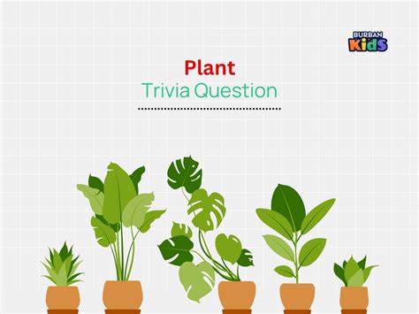 101 Plant Trivia Questions To Prove Your Botanical Plant Questions And Answers - Plant Questions And Answers