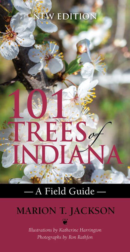 101 trees of indiana a field guide indiana natural science. - Fundamentals of investing 12th edition solution manual.