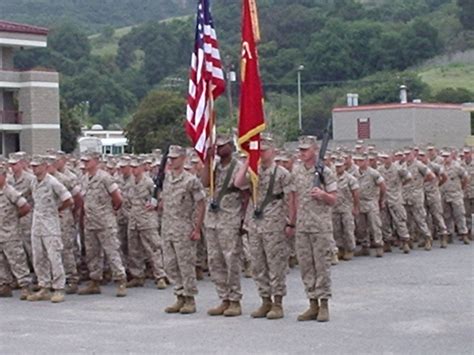 101014 Halı ve Koltuk Yıkama