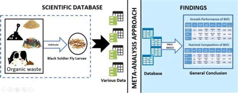 101061 Halı ve Koltuk Yıkama