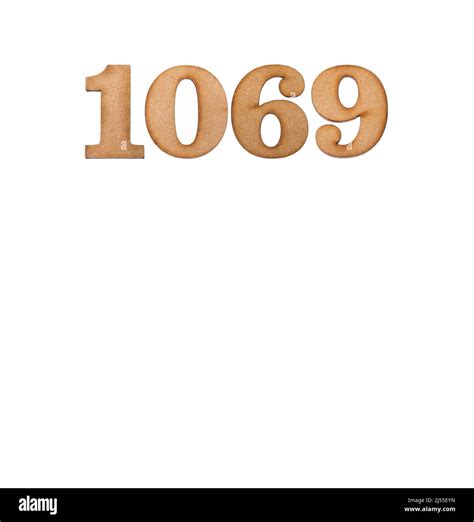 1069 Halı ve Koltuk Yıkama
