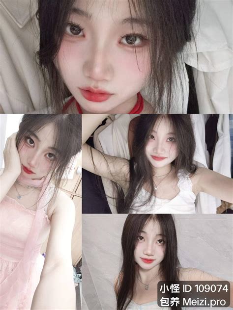 109074 Halı ve Koltuk Yıkama