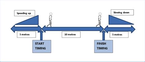 10Meter Walk Test & Example Free PDF Download