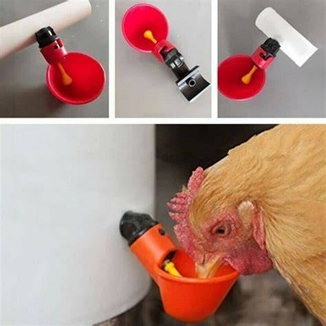 10PCS Chicken Drinker Feeder Water Nipple Automati... - raincitystudios.com