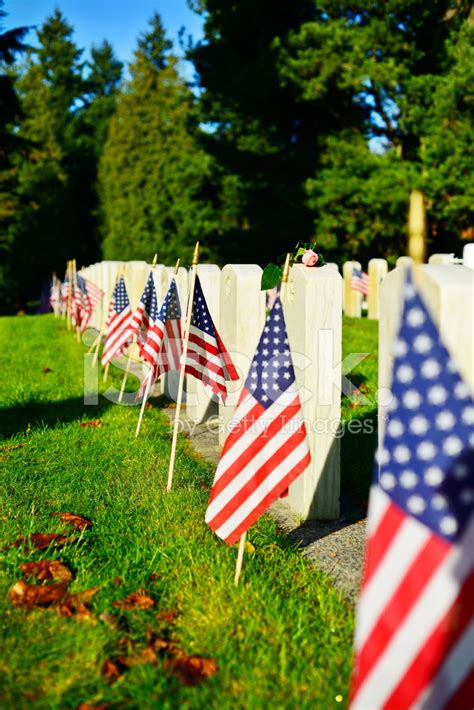 11,431 Flags In Cemetery Premium High Res Photos