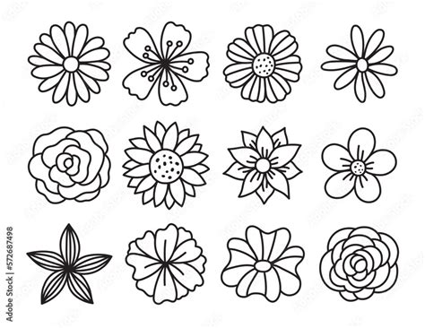 11,843,537 Flower Drawing Images, Stock Photos & Vectors